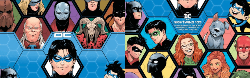 Nightwing 103 Banner